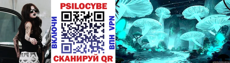 Псилоцибиновые грибы Psilocybine cubensis  гидра ССЫЛКА  сайты даркнета Telegram  Братск 